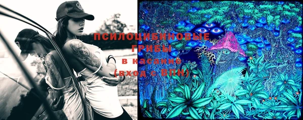 MDMA Premium VHQ Карталы
